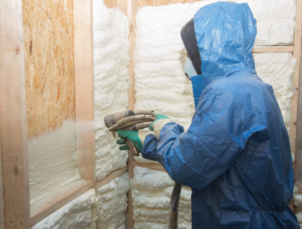 Eco-Friendly Insulation Solutions in Florida Ridge, FL